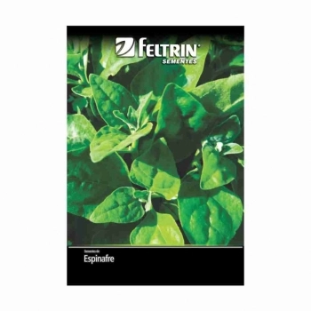SEMENTE LINHA GOLDEN ESPINAFRE NOVA ZELANDIA 5G