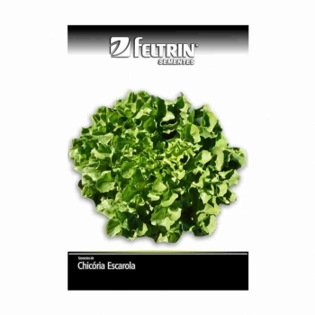 SEMENTE LINHA GOLDEN CHICORIA GIGANTE BARBARELLA 5G