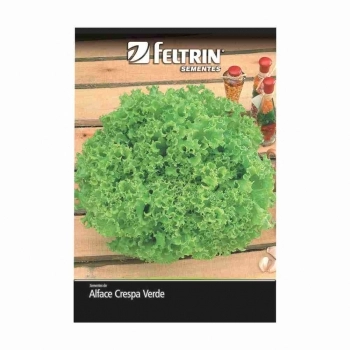 SEMENTE LINHA GOLDEN ALFACE VENERANDA 2,5G