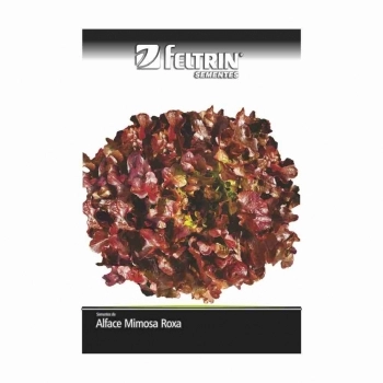 SEMENTE LINHA GOLDEN ALFACE BETANIA 2,5G