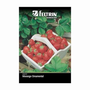 SEMENTE LINHA ECONOMICA MORANGO VERMELHO RUGE 50MG