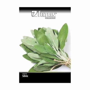 SEMENTE LINHA ECONOMICA SALVIA PARA TEMPERO 200MG