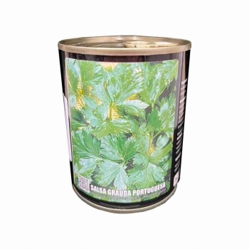 SEMENTE LINHA LATA SALSA GRAUDA PORTUGUESA NOVA SELEÇÃO 100G