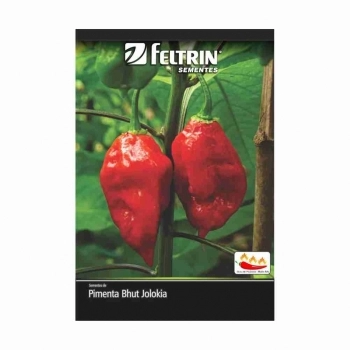 SEMENTE LINHA BOX PIMENTA CASCAVEL 1G