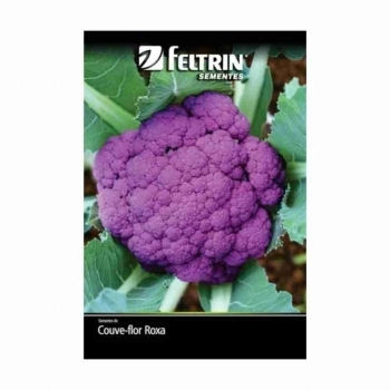 SEMENTE LINHA BOX COUVE FLOR FILIPINAS 1G