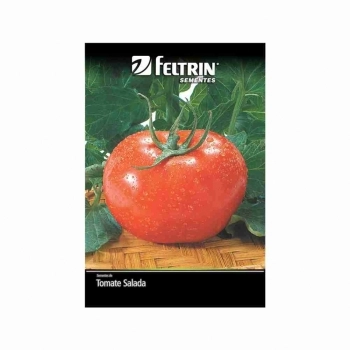 SEMENTE LINHA ECONOMICA TOMATE GAUCHO MELHORADO NOVA S. 400MG