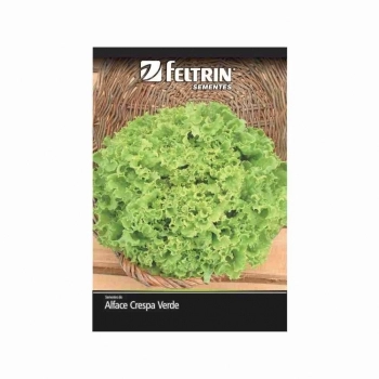 SEMENTE LINHA GOLDEN ALFACE MONICA 2,5G