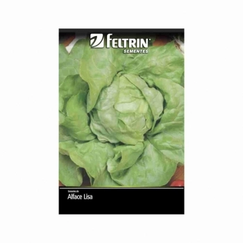 SEMENTE LINHA GOLDEN ALFACE REPOLHUDA 5G