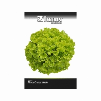 SEMENTE LINHA GOLDEN ALFACE CONDESSA 2,5G