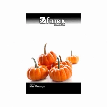 SEMENTE LINHA GOLDEN MORANGA BRIGITTE 10G