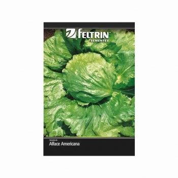 SEMENTE LINHA ECONOMICA ALFACE RAFAELA-AMERICANA 700MG