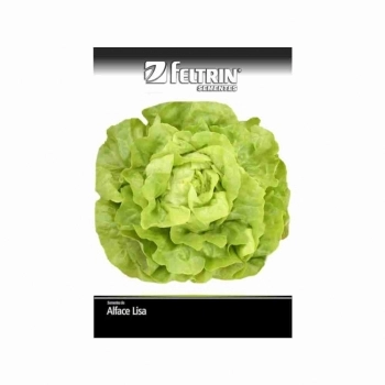 SEMENTE LINHA GOLDEN ALFACE STELLA MANTEIGA 2,5G