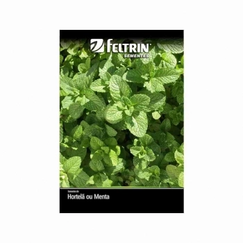 SEMENTE LINHA GOLDEN HORTELA HORT OU MENTA PIP 100MG