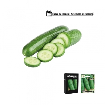 SEMENTE LINHA HORTA PEPINO AODAI 1G CAIXA COM 20 ENVELOPES