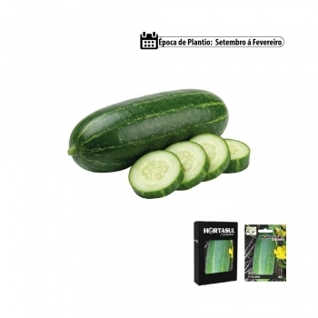 SEMENTE LINHA HORTA PEPINO CAIPIRA 1G CAIXA COM 20 ENVELOPES