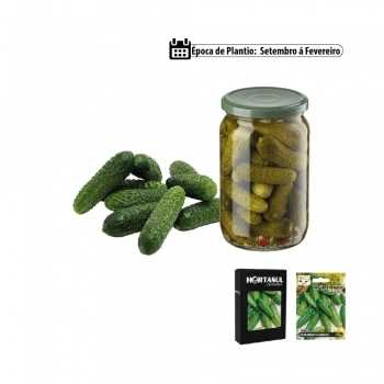 SEMENTE LINHA HORTA PEPINO HIBRIDO PARA CONSERVA 500MG CAIXA COM 20 ENVELOPES