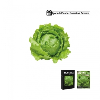 SEMENTE LINHA HORTA ALFACE AMERICANA 700MG CAIXA COM 20 ENVELOPES