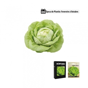 SEMENTE LINHA HORTA ALFACE BRANCA DE BOSTON 700MG CAIXA COM 20 ENVELOPES