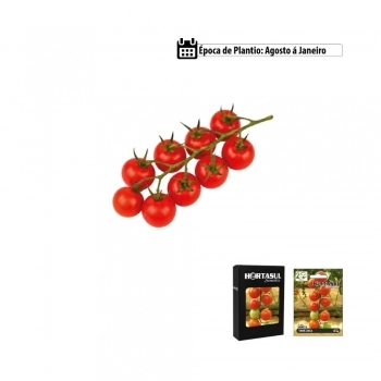 SEMENTE LINHA HORTA SALSA LISA 1G CAIXA COM 20 ENVELOPES