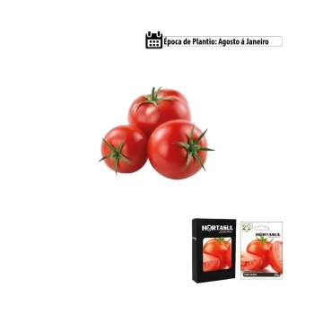 SEMENTE LINHA HORTA SALSA LISA 1G CAIXA COM 20 ENVELOPES