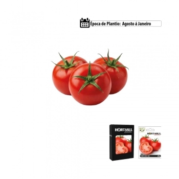 SEMENTE LINHA HORTA SALSA LISA 1G CAIXA COM 20 ENVELOPES