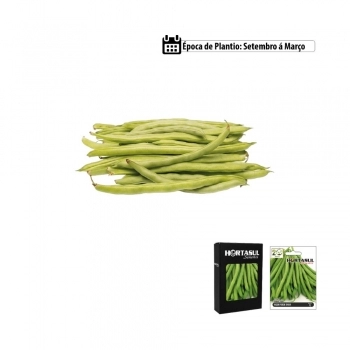 SEMENTE LINHA HORTA SALSA LISA 1G CAIXA COM 20 ENVELOPES