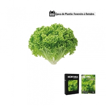 SEMENTE LINHA HORTA ALFACE GRAND RAPDIS 700MG CAIXA COM 20 ENVELOPES