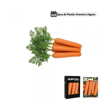SEMENTE LINHA HORTA CENOURA FLAKER 700MG CAIXA COM 20 ENVELOPES