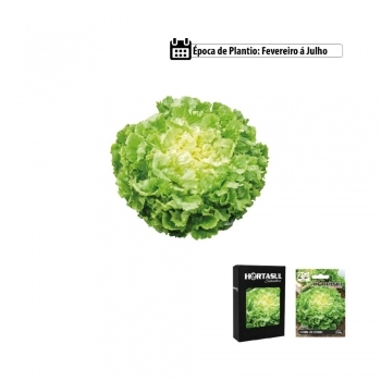 SEMENTE LINHA HORTA CHICORIA LISA ESCAROLA 300MG CAIXA COM 20 ENVELOPES