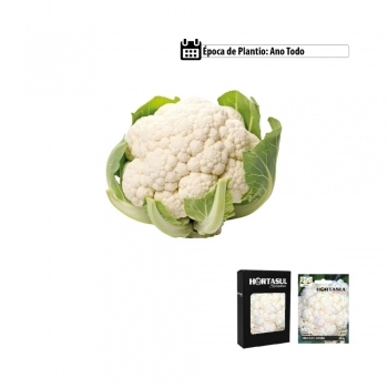 SEMENTE LINHA HORTA CEBOLINHA VERDE TODO ANO 300MG CAIXA COM 20 ENVELOPES