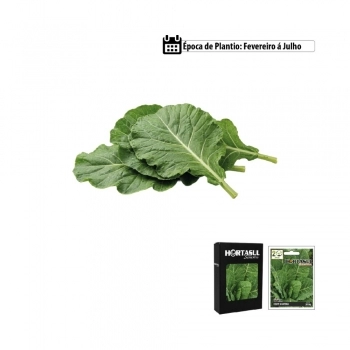 SEMENTE LINHA HORTA CEBOLINHA VERDE TODO ANO 300MG CAIXA COM 20 ENVELOPES