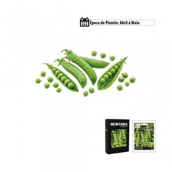 SEMENTE LINHA HORTA CEBOLINHA VERDE TODO ANO 300MG CAIXA COM 20 ENVELOPES