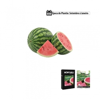 SEMENTE LINHA HORTA CEBOLINHA VERDE TODO ANO 300MG CAIXA COM 20 ENVELOPES