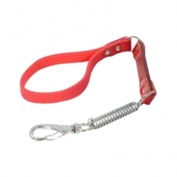 GUIA NYLON CACHORRO COM AMORTECEDOR 30CM 3690