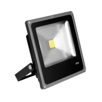 REFLETOR LED 10W LUZ VERDE