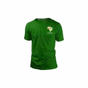 CAMISETA GOLD VERDE BANDEIRA TAMANHO PP